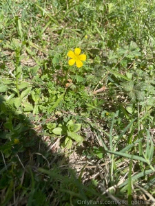 Spring has sprung i touched grass today have you