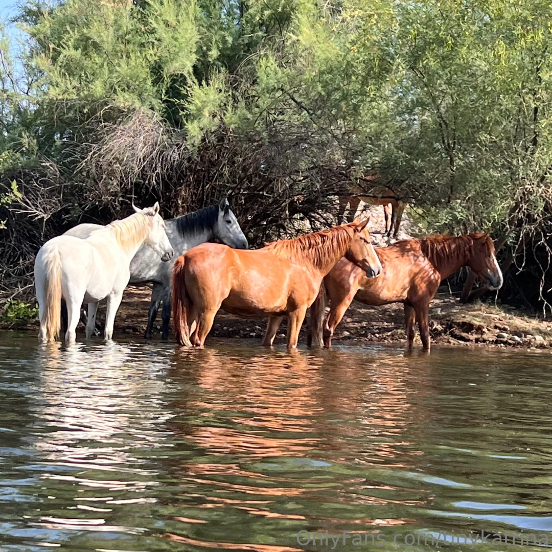 Little cowgirl s day out part 1 