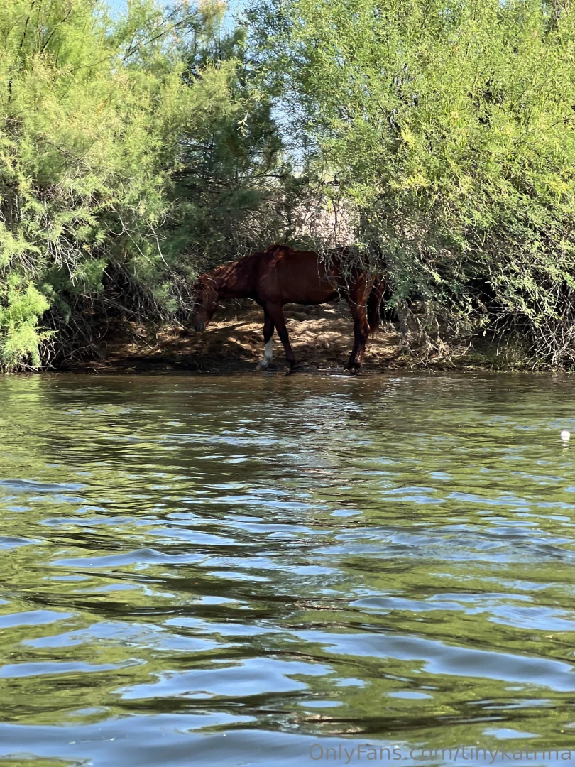 Little cowgirl s day out part 4 