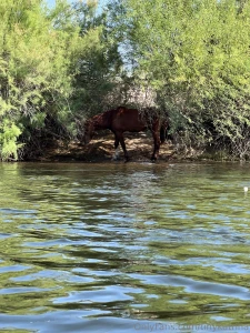 Little cowgirl s day out part 4