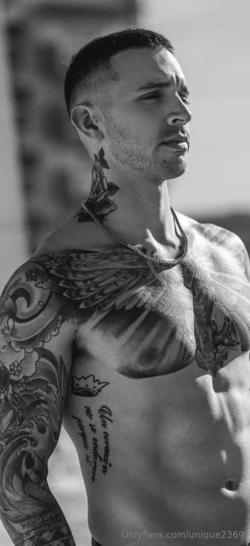 Pacook pacook free free free 