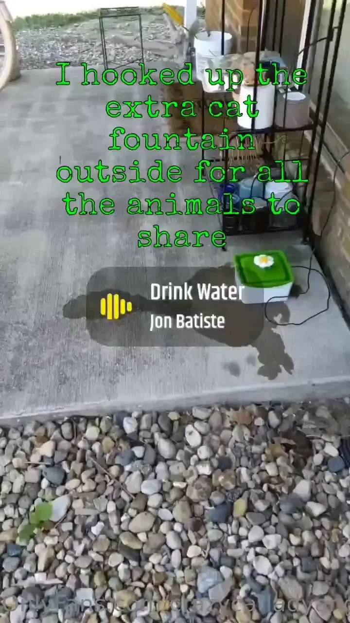 Don t forget saturday night live tonight at 8pm cst 