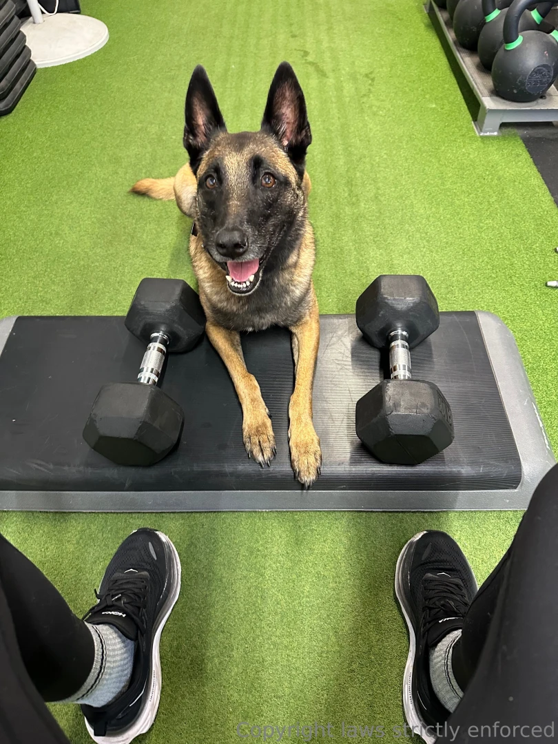 The best gym buddy ever 