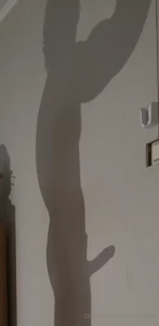 Cock jerking and flexing silhouette part 1