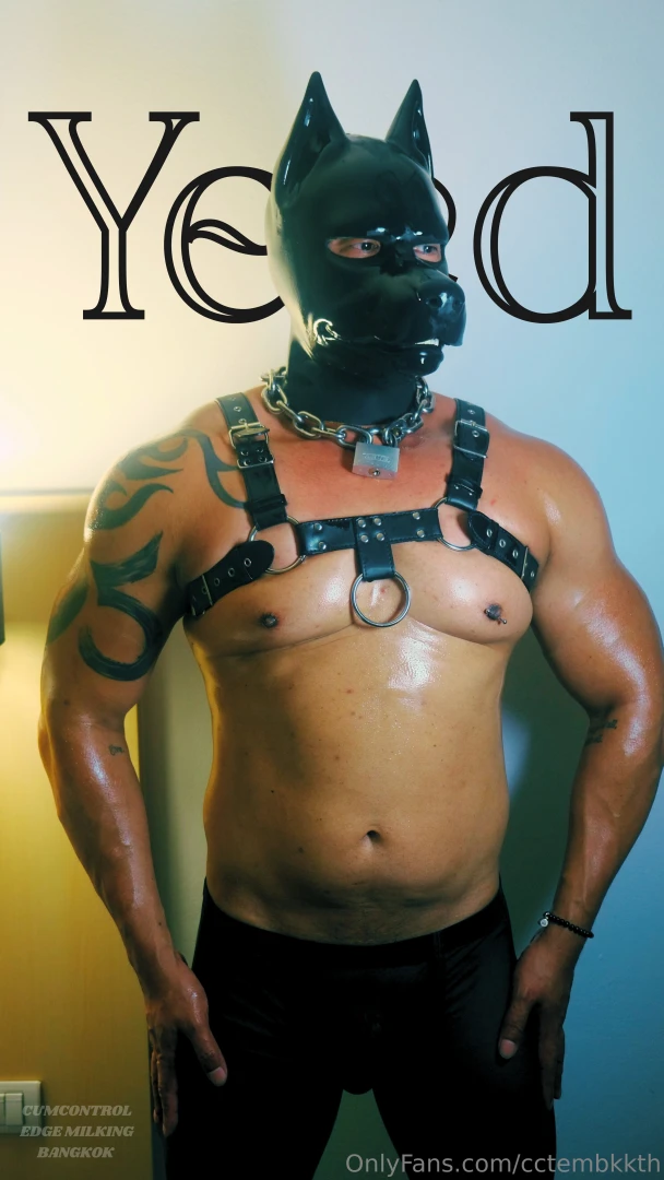 Cumcontrol edge milking bangkok yeed part 7 