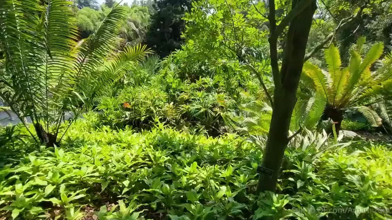 Heyoo happy sunday this is a friendly reminder to just breathe deeply 