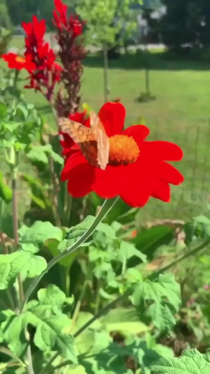 B00b sweat what s the temp where you live drop that heat in the 