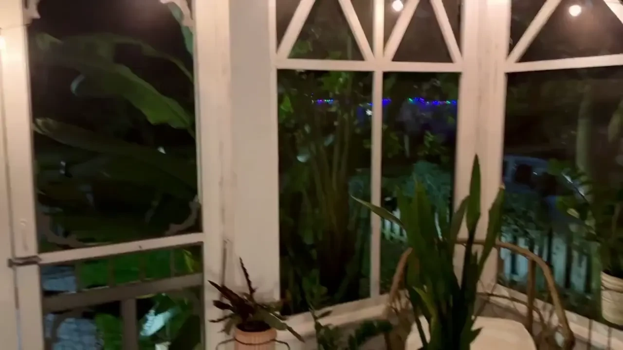 Happy new year s eve part 77 