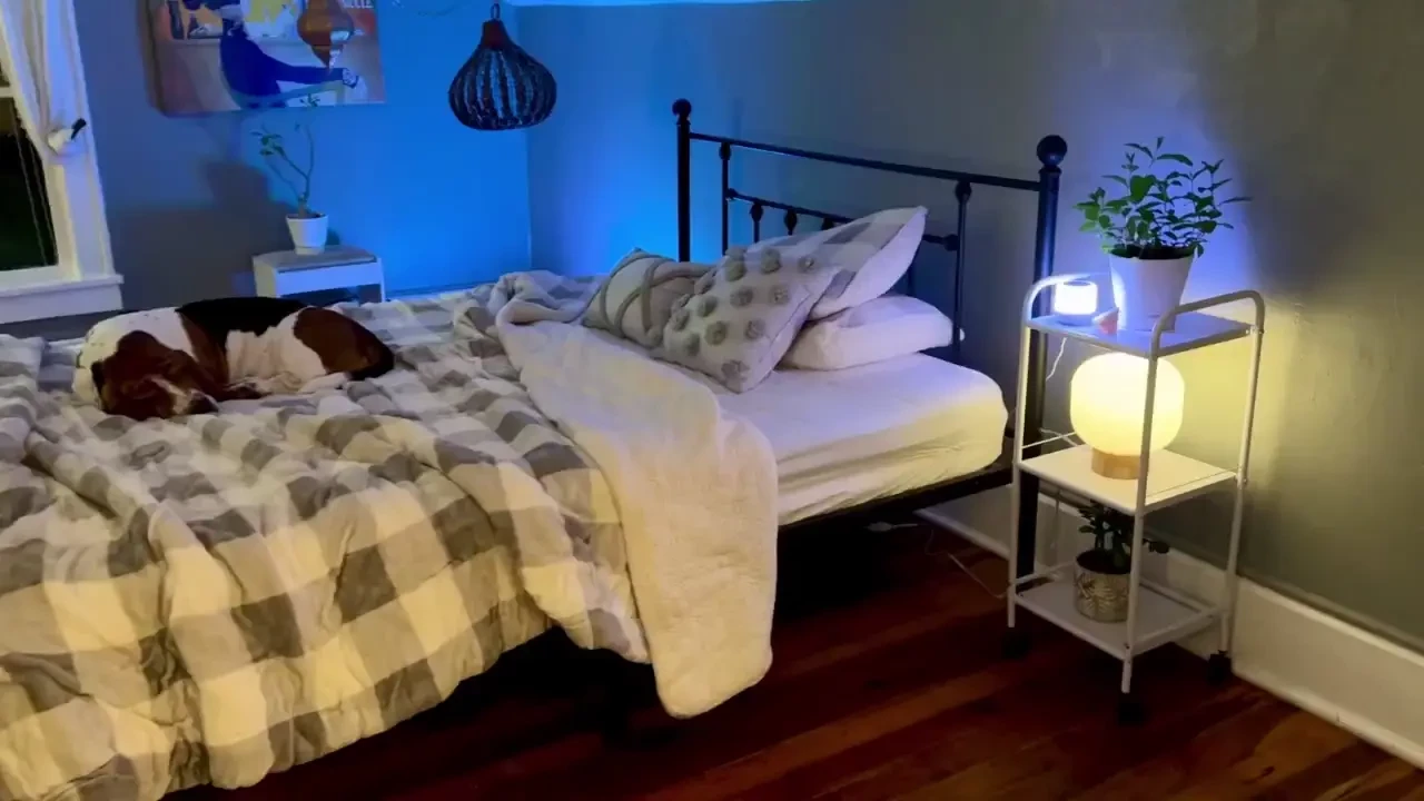 A tour of my room it s nice to fall asleep to the sounds of nature 