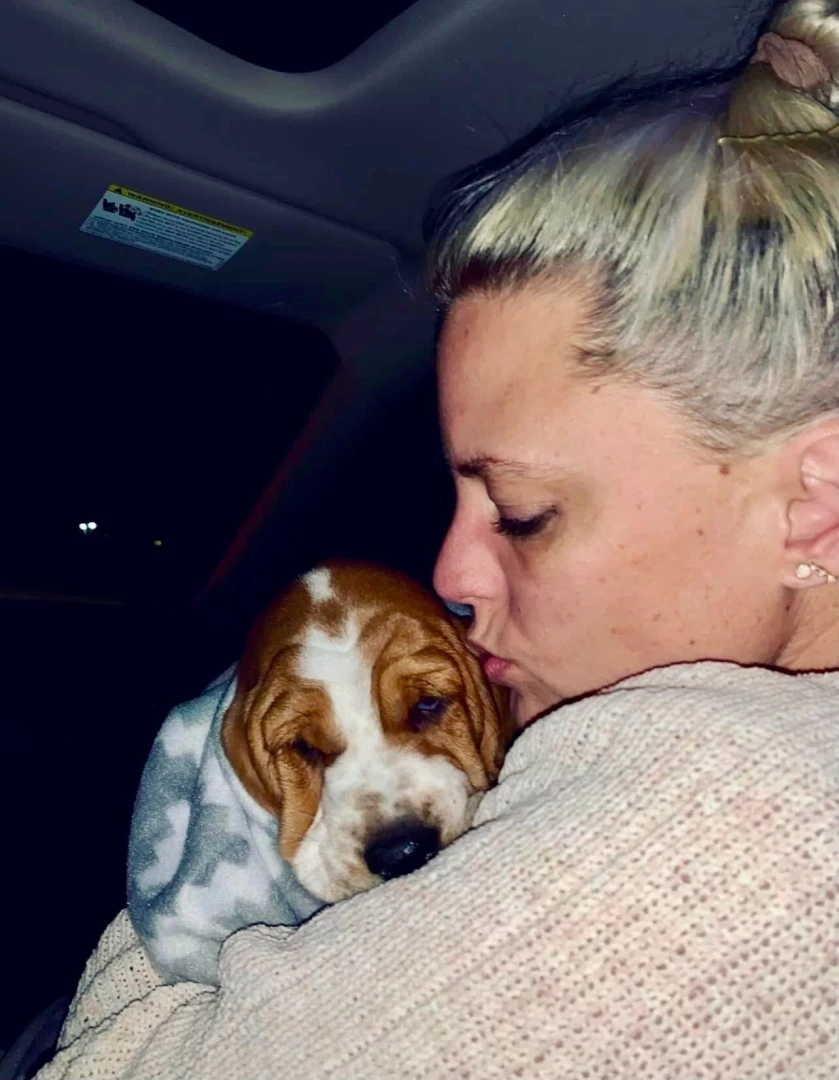 Taking home millie from the breeder as a pup she had a rough couple of 