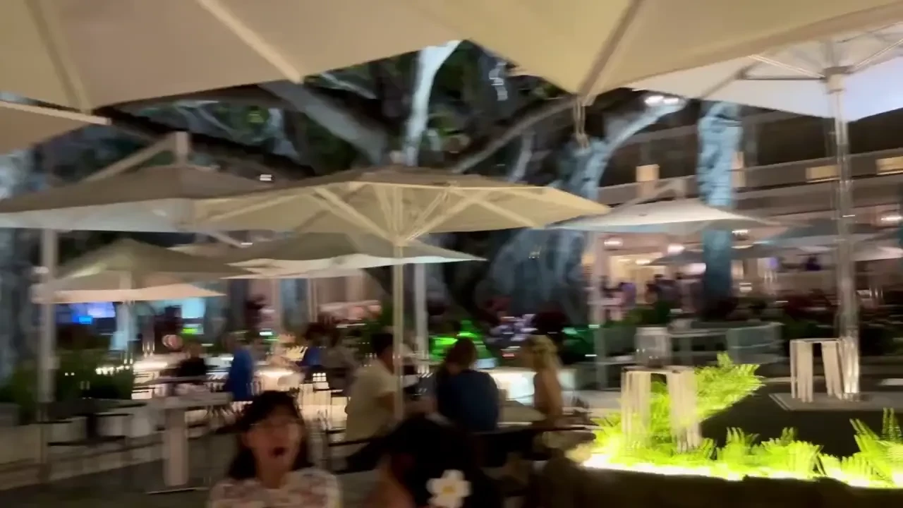 Enjoying another performance of a favorite song fast car 