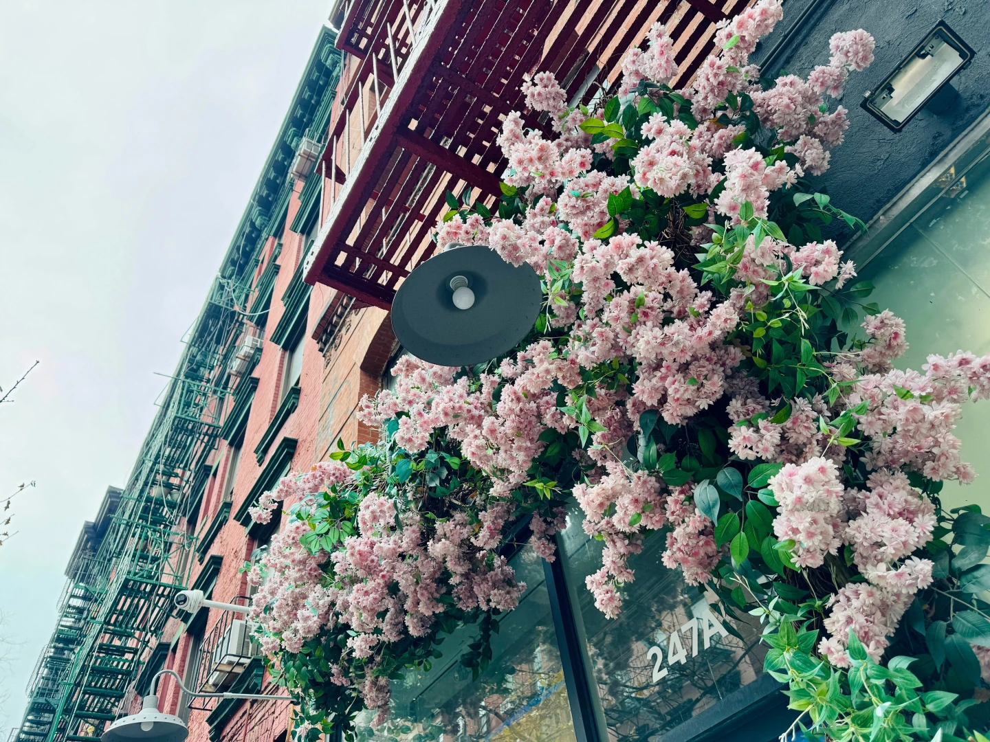 Exploring before i head back to the airport 