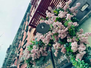 Exploring before i head back to the airport