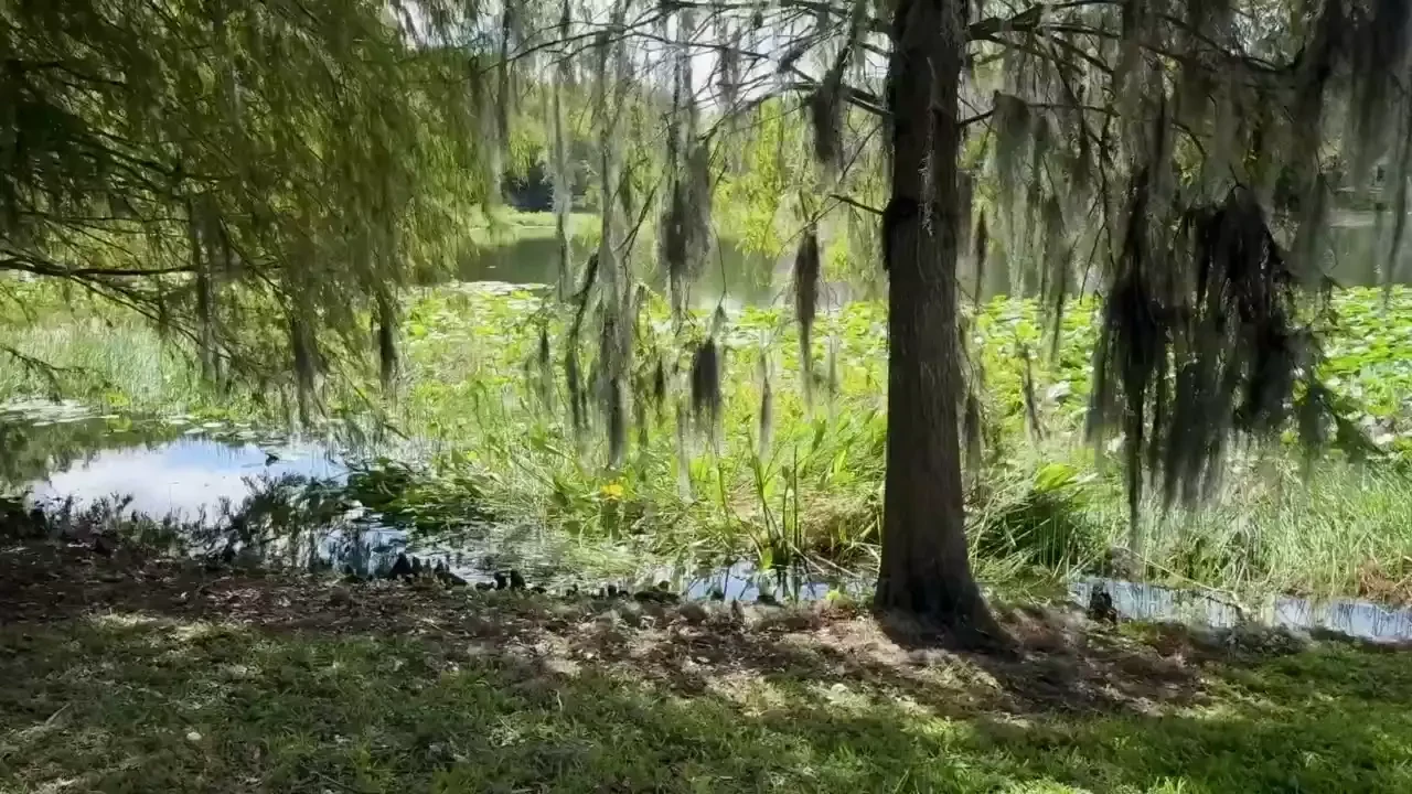 Weather is perfect today my house is back there somewhere 