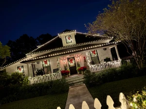 My favorite christmas house part 2