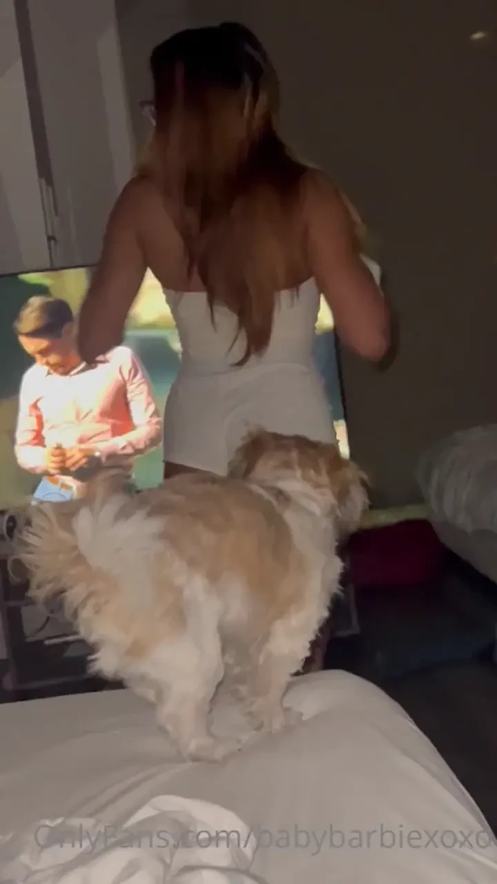 Herbie blocking the view 