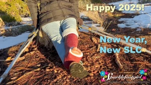 Happy 2025 everyone it s certainly starting off wild and crazy isn t