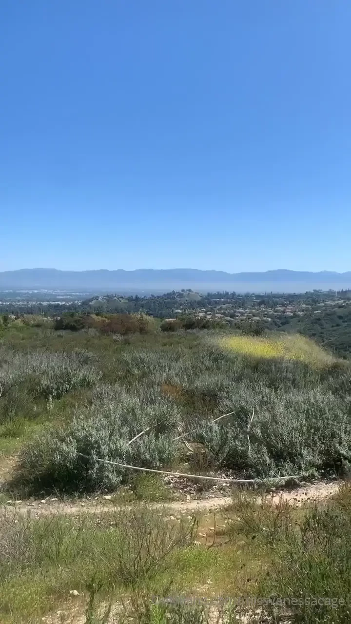 Get out and get some sun 