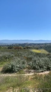 Get out and get some sun