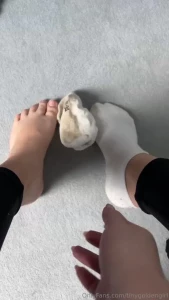 They looking for a new home 5 days old baby s