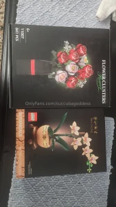 Two of my favorite fans bought me lego flowers i will soon be making
