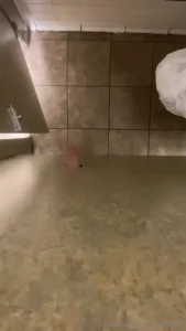 Gotta wiggle the work to get a bite