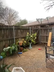 I ve been in love with my boobs this morning and the rainy weather