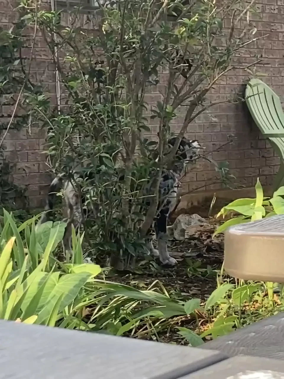 Happy monday y all part 23 