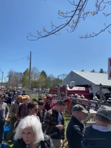 The craziness begins