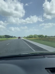 Hey y all here is just the start of corals and i s vivacious