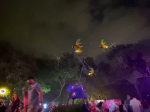 Austin killing it with another event at the botanical gardens i wanted