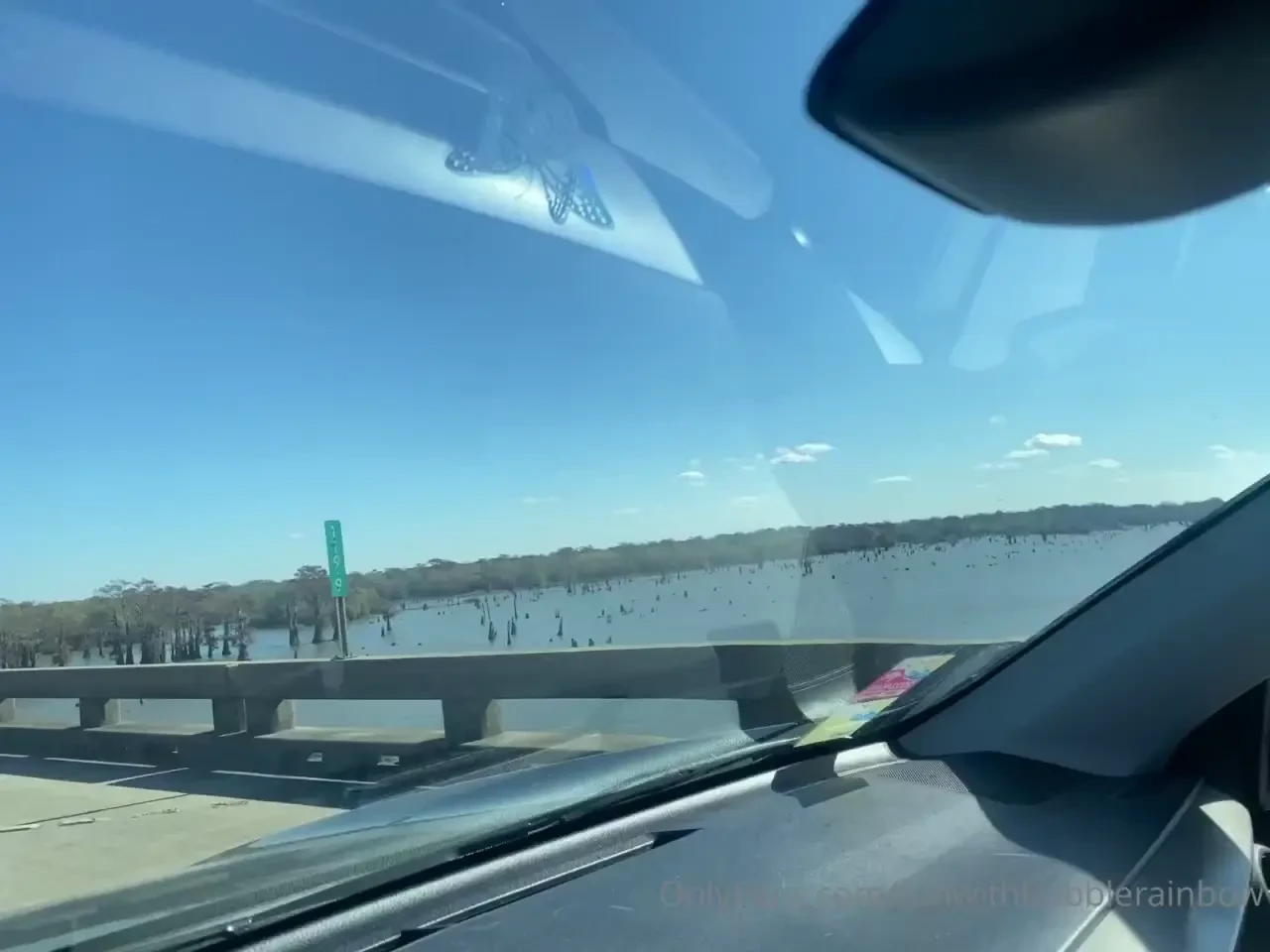 Adventures with miss jess 