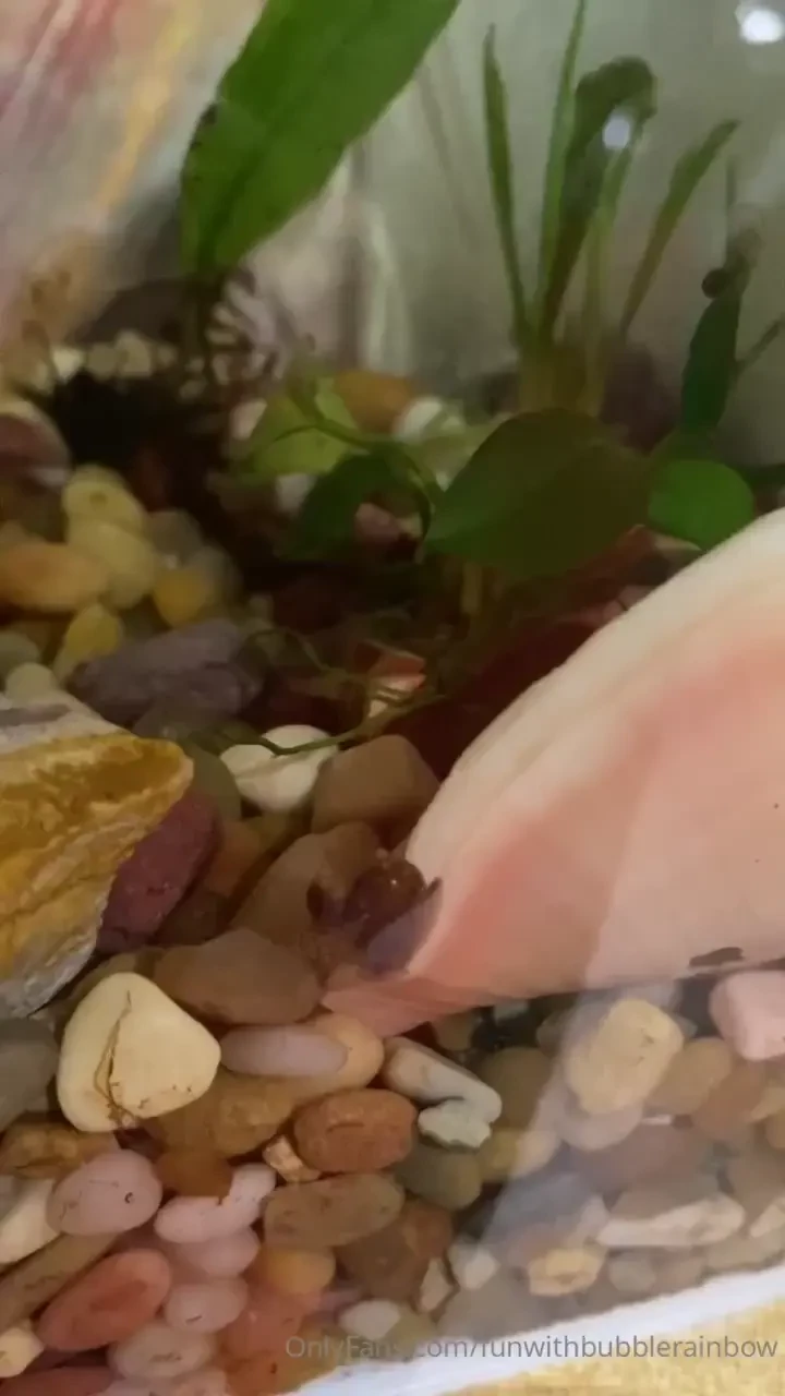 Y all these past three weeks have been brutal on me keeping a postive 