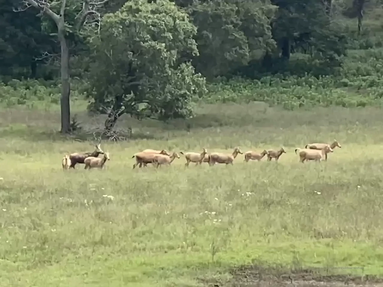 Stopped on my break and fished a bit hope y all are having a wonderful 