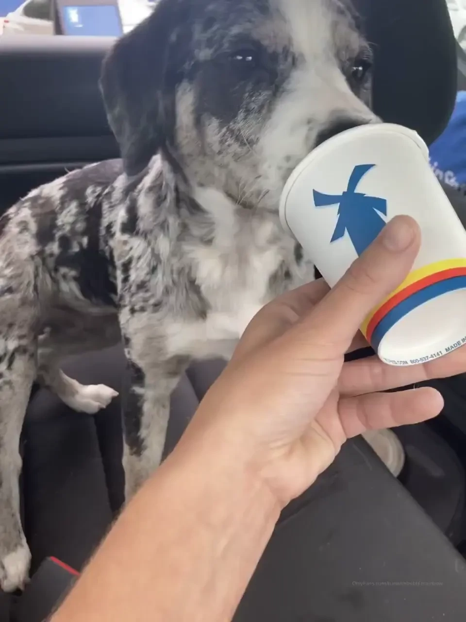 I got skunked today y all little fishing video from my spot coral and 