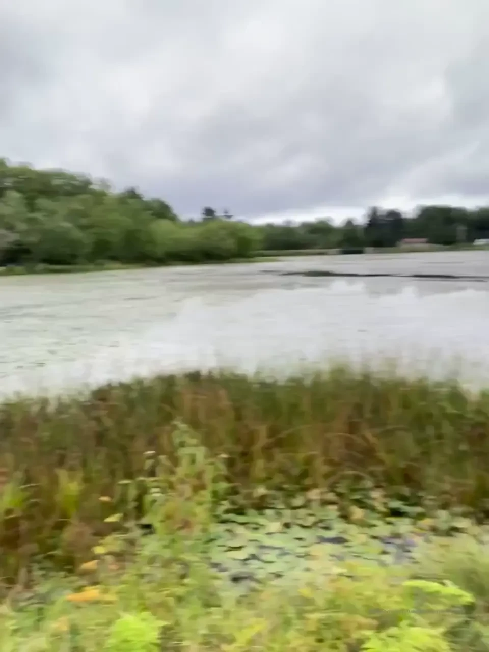 Sorry i haven t been posting much lots of traveling but look where i 