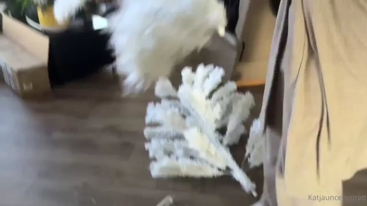 Allegralign put it upside down we fucked up lile 3 times so far 