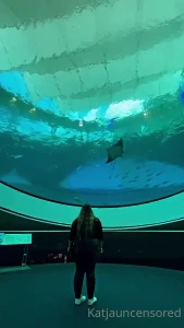 katjauncensored - This aquarium was so cool would you visit one like this 