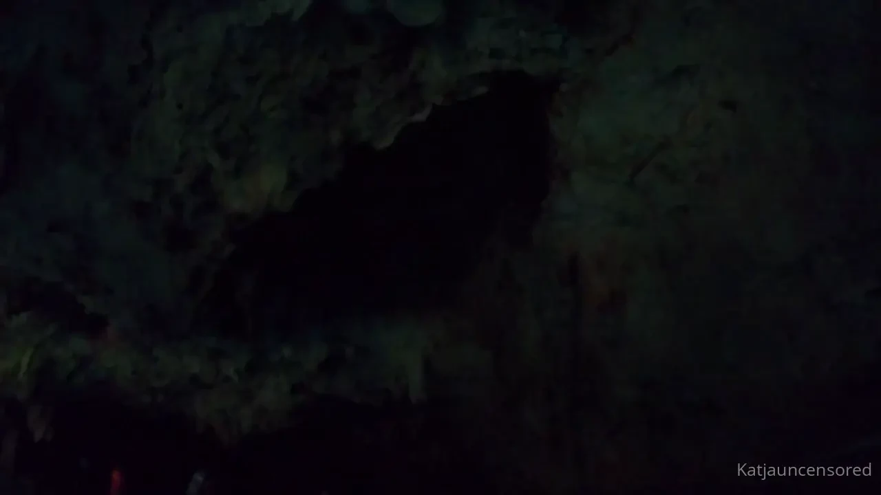 In this video you can see the bats flying above wrenrainier and i so 
