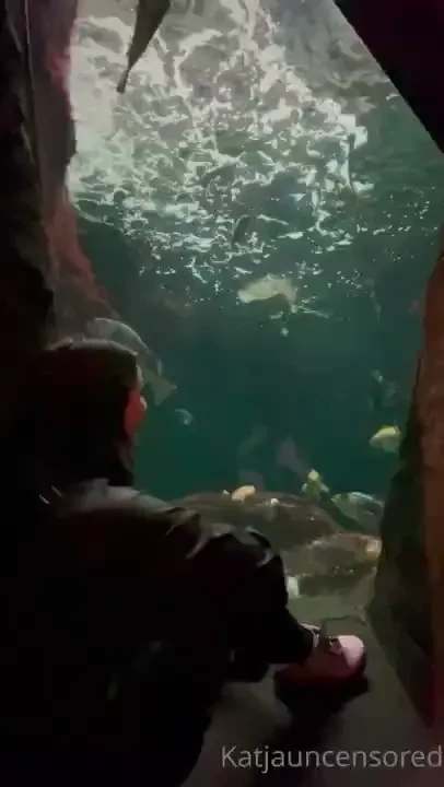 Synthia_valentine sitting in a secret cubby at the aquarium 