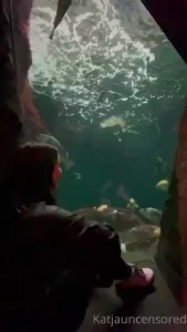 Synthia_valentine sitting in a secret cubby at the aquarium