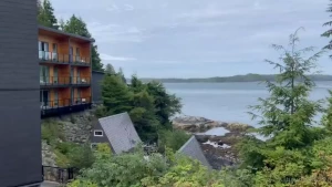 We arrived in tofino