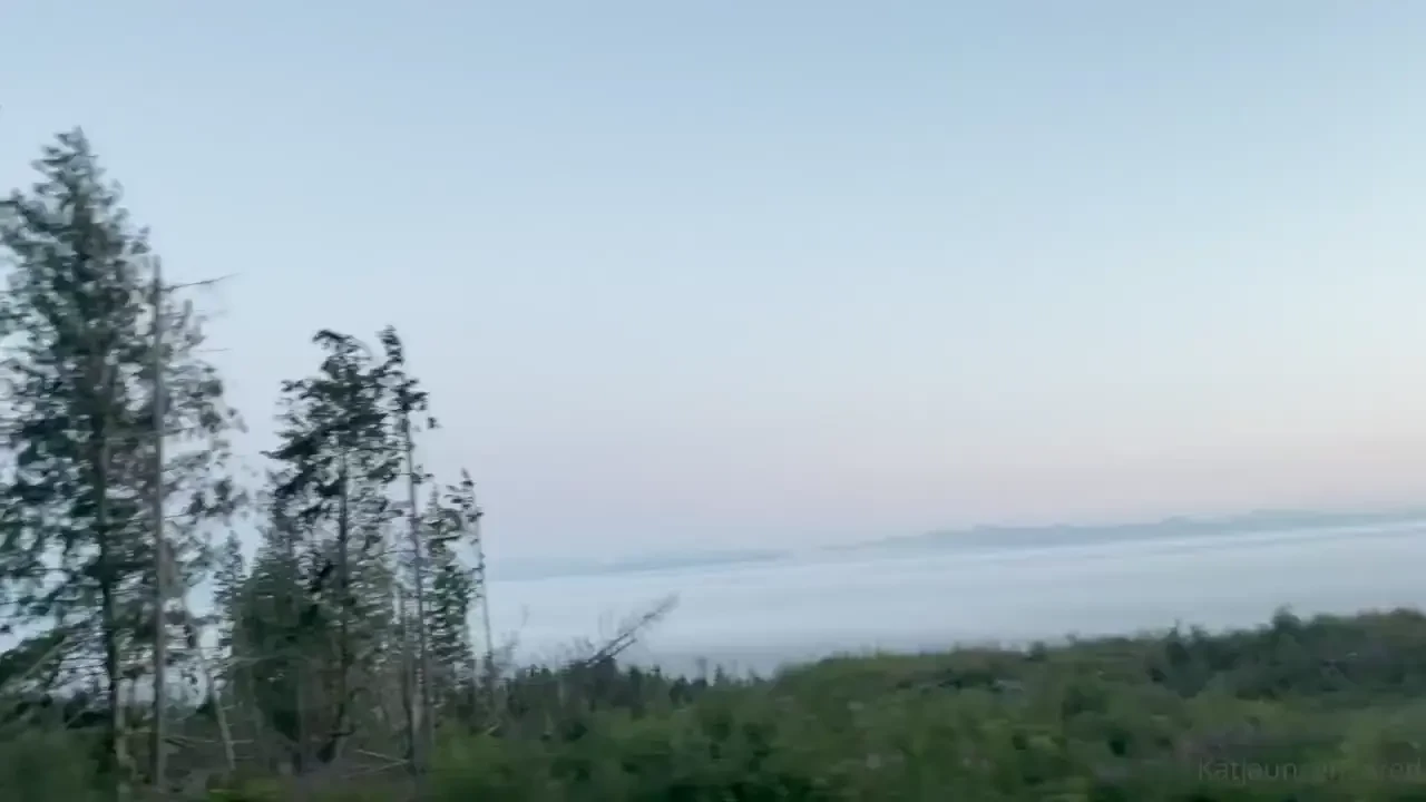 Also have this pretty sunset from our drive 