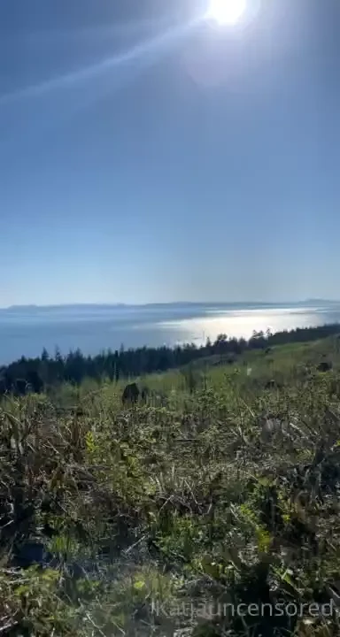 I took today off to go to the beaches with my friend so today you get part 1 