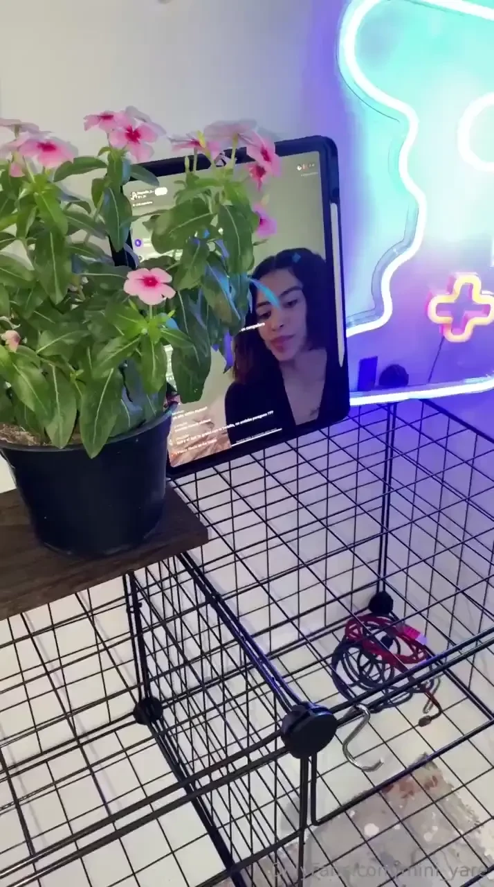 Asi son mis lives normalmente 