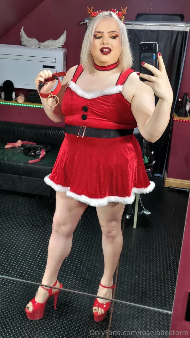 Merry christmas bitches x 