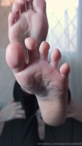 Dolcenicoletta6