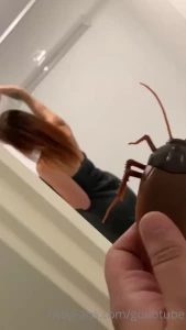 She hates bugs tracykiss