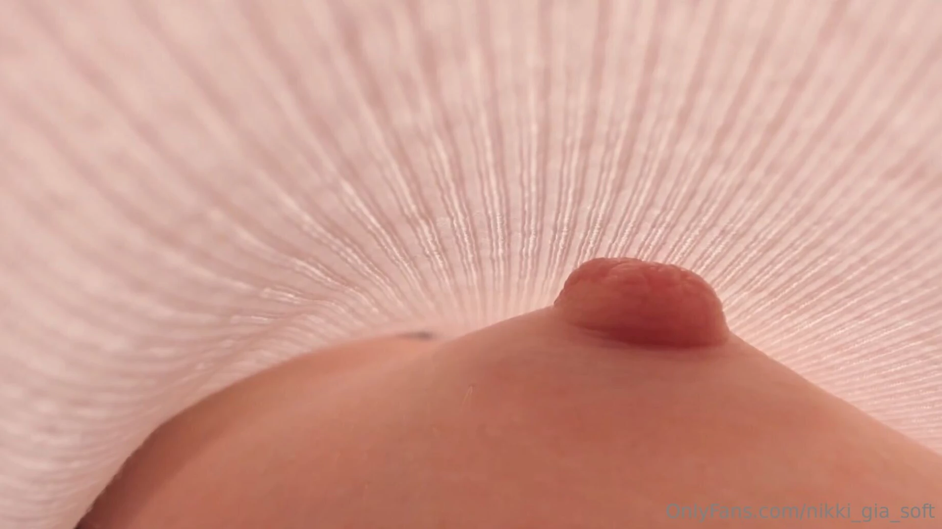 This is how my nipples look like under the shirt aren t they cute 