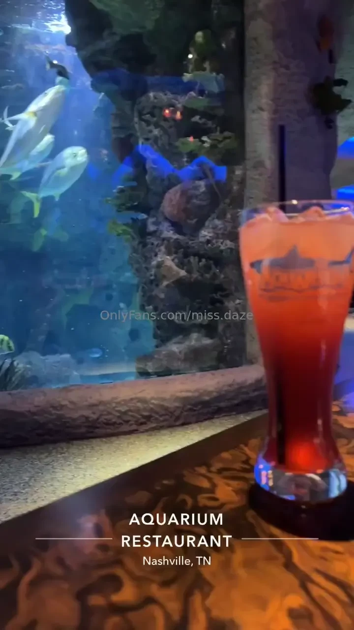 Also visited the aquarium restaurant and it was such a cool experience 